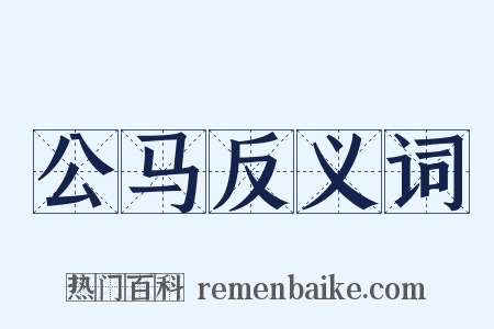 公马反义词是什么意思的图片